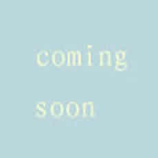 关于DM建站系统