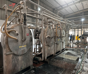 Centrifugal Sieve For Starch Process